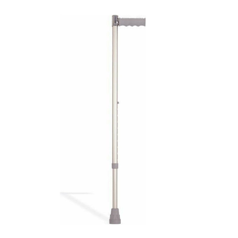 Walking Stick